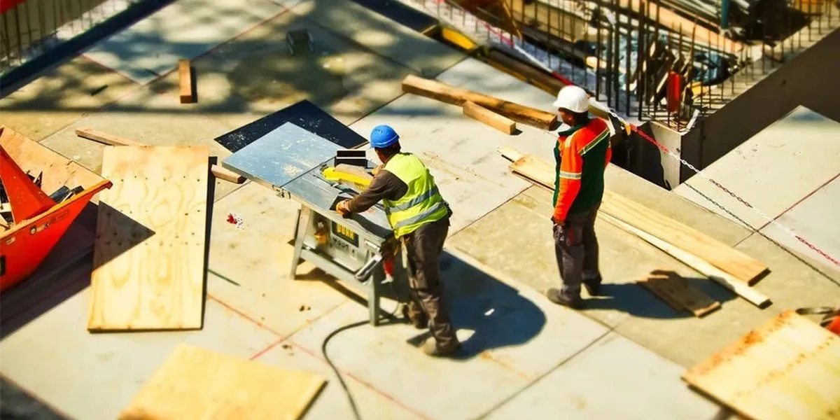 panneau MGO vs contreplaqué