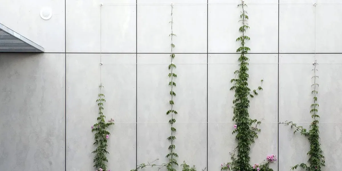 MgO-Plattenanwendungen