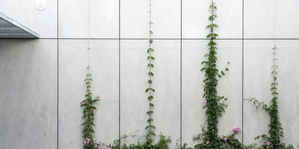 MgO-Zementplatten vs.