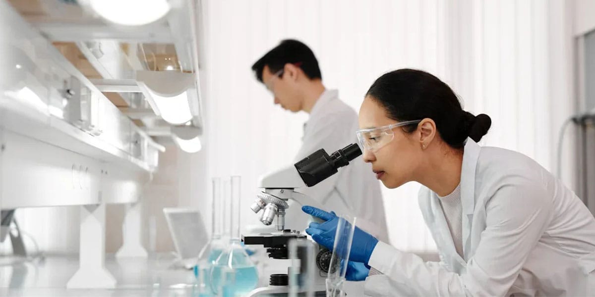 The Performance in Construction of Magnesium Oxide Boards