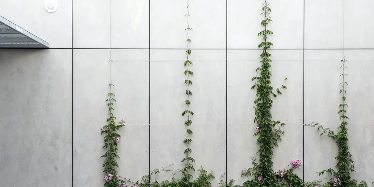 Panneaux de ciment MgO vs autres