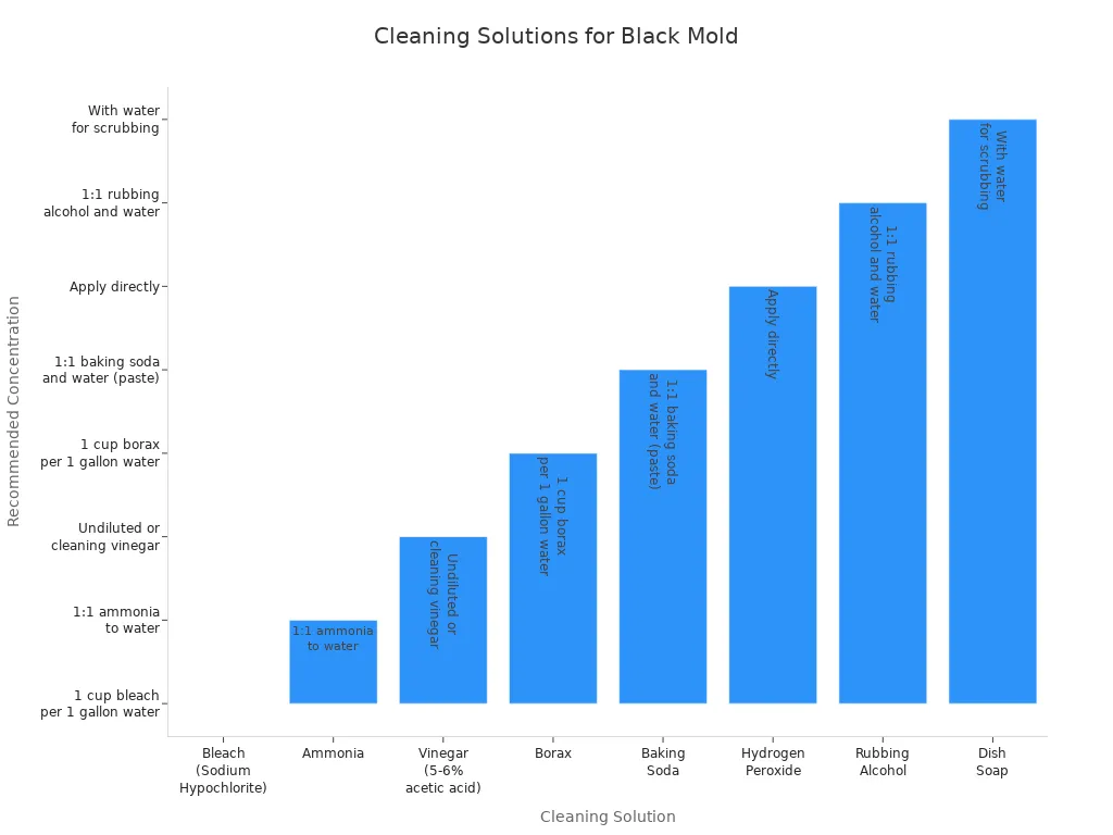 cleaning solutions for black mold