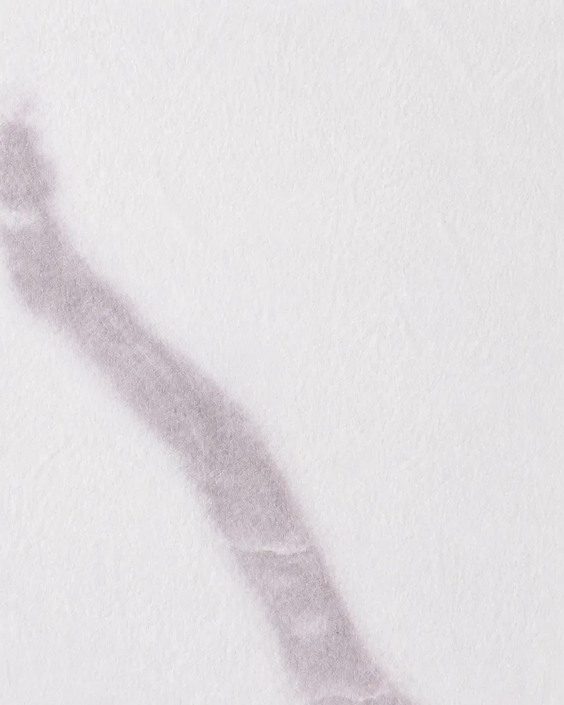 Référence de finition décorative aspect marbre veiné blanc pour panneau mural en MgO